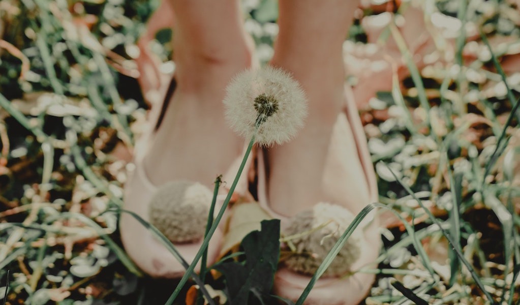 color photo of a woman's feet. She si wearing pink ballet flats and there is a white fluffy dandelion in the foreground.